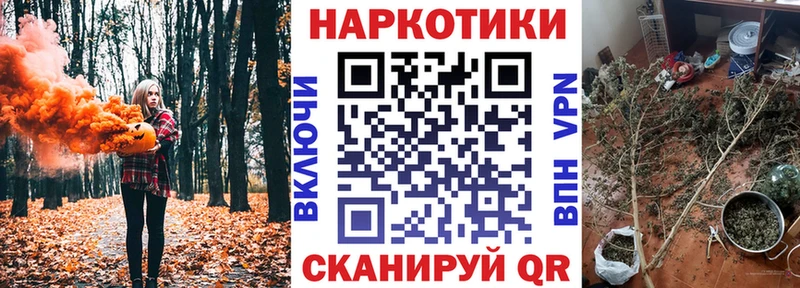 Магазин наркотиков Ртищево ГАШ  Псилоцибиновые грибы  Alpha PVP  Мефедрон  COCAIN  Амфетамин 