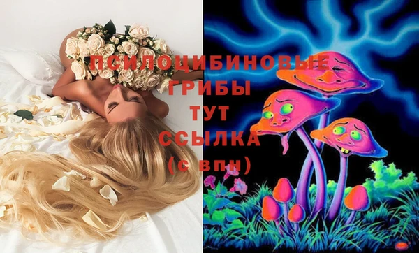 МДПВ Алзамай